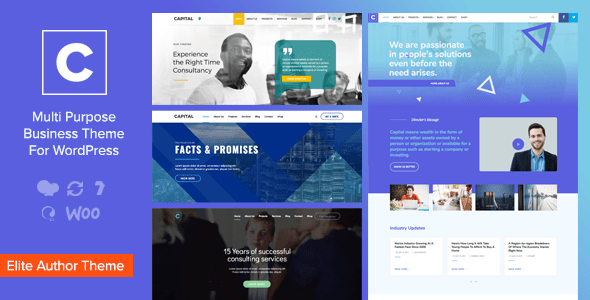 Gallery image of Capital - Multi Purpose Business WordPress Theme