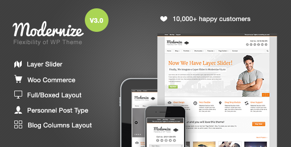 Gallery image of Modernize - Flexibility of WordPress