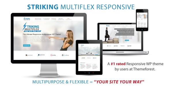 Gallery image of Striking - MultiFlex & Ecommerce Responsive WP Theme