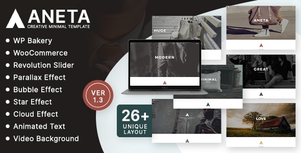 Gallery image of Aneta Agency Startup Agency WordPress Theme
