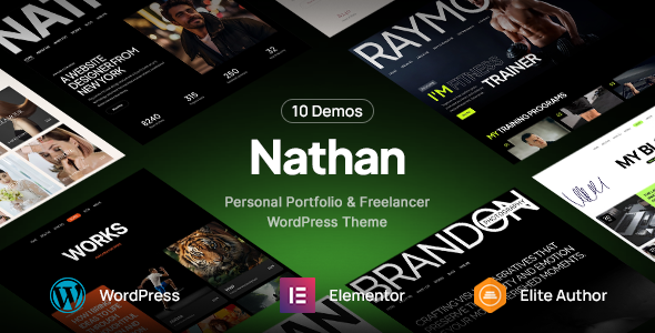 Gallery image of Nathan - Personal Resume CV Portfolio WordPress Theme