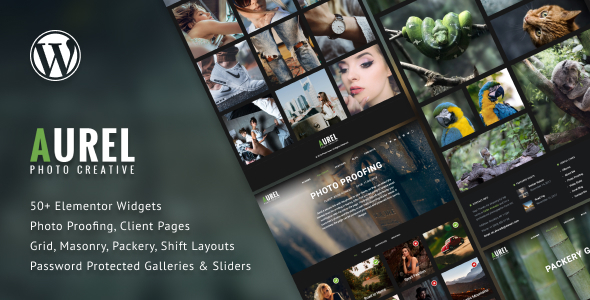 Gallery image of Photography Aurel WordPress Theme