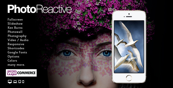 Gallery image of PhotoReactive | WordPress Theme