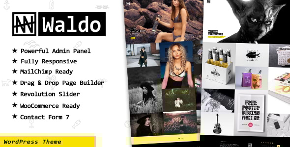 Gallery image of Waldo - Creative Portfolio WordPress Theme